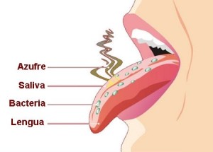 Halitosis Mouthwash2 300x215 - Halitosis &amp; Mouthwash
